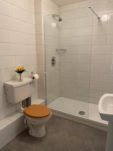 a bathroom with a shower and a toilet and a sink at Apartment 6 @ Clifden Bay Apartments in Clifden