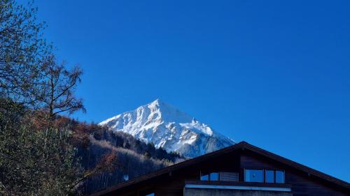 a snow covered mountain in front of a house at Apartment Cindy in Spiez