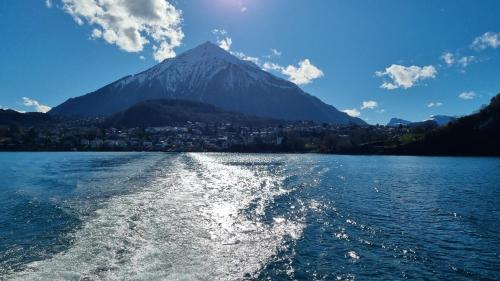 a view of a mountain from a boat on a lake at Apartment Cindy in Spiez