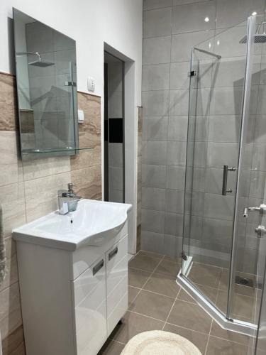 a bathroom with a sink and a shower at Central Apartments 3 in Zaječar