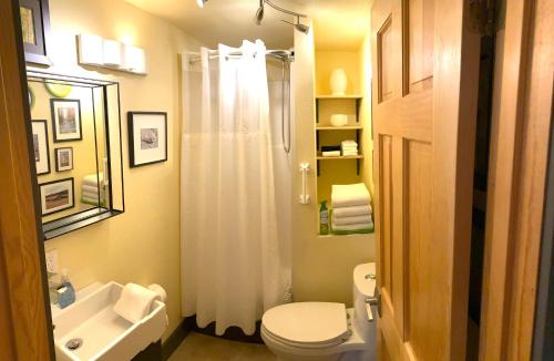 a bathroom with a white toilet and a sink at Bell In The Woods B&B in Seward