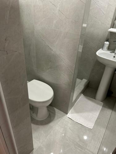 a bathroom with a toilet and a sink at Pansion Kipovi in Tuzla