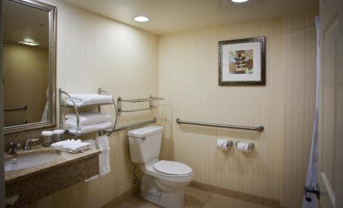 a bathroom with a toilet and a sink at Crowne Plaza Louisville Airport Expo Center, an IHG Hotel in Louisville