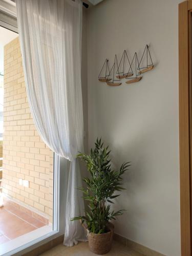 uma planta sentada numa sala com uma janela em Apartamento Neptuno Sunrise Magic World em Oropesa del Mar