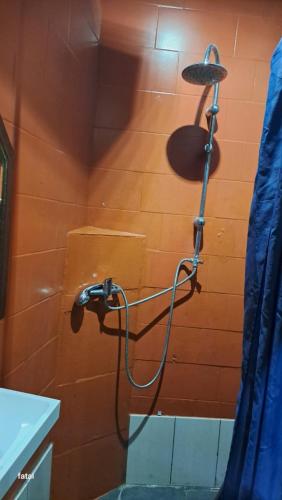 une douche avec un tuyau fixé à un mur dans l'établissement Magnifique Studio pas loin centre-ville, à Reims