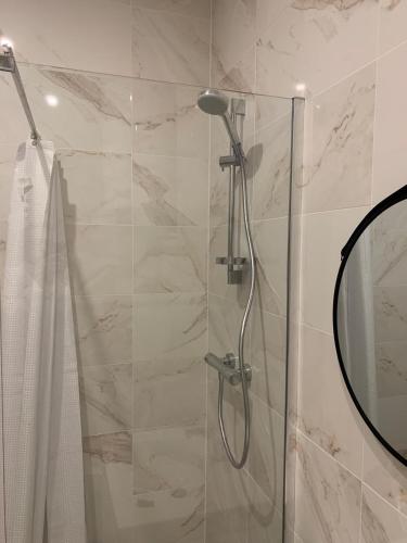 d'une douche avec une porte en verre et un miroir. dans l'établissement Petit pavillon individuel f2, à Nancy