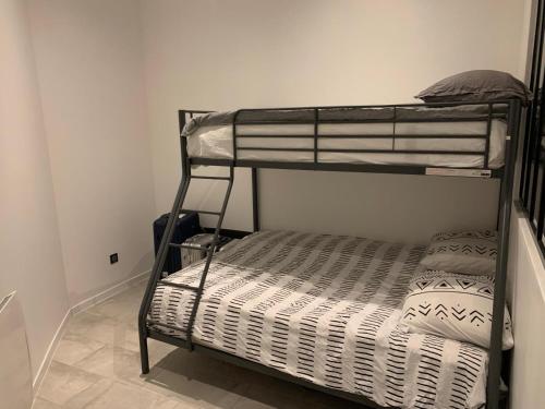 une chambre avec deux lits superposés dans une pièce dans l'établissement Petit pavillon individuel f2, à Nancy