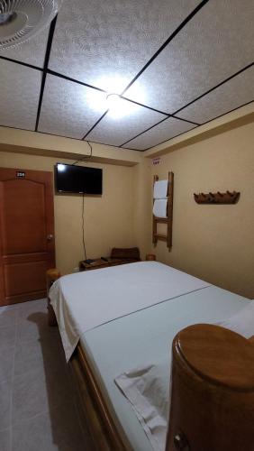 a bedroom with a bed and a tv on the ceiling at Hotel Mansur in La Tebaida