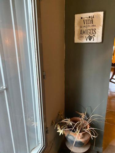 a plant sitting on a table next to a window at lo de lucio in Almafuerte