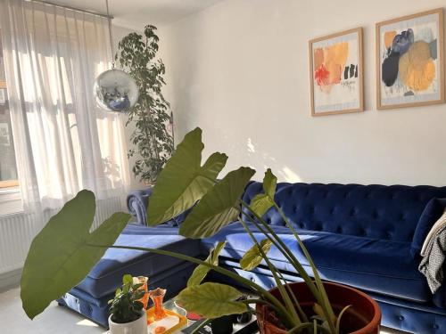a living room with a blue couch and a plant at Lovely, light and calm 1-bedroom apartment in Amsterdam