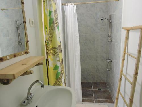 a bathroom with a shower with a toilet and a sink at Pension Taitaa Tubuai in Tubuai