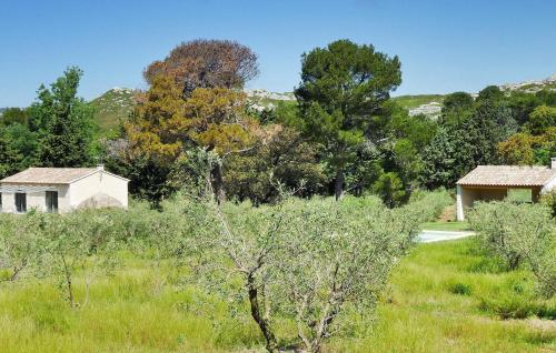 ein Feld mit Bäumen und ein Haus in der Ferne in der Unterkunft Le Cabanon in Maussane-les-Alpilles
