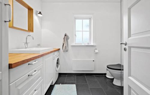 Baño blanco con lavabo y aseo en Gorgeous Home In Frevejle With Kitchen, en Fårevejle