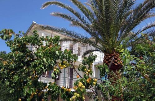 Apartments by the sea Barbat, Rab - 22754