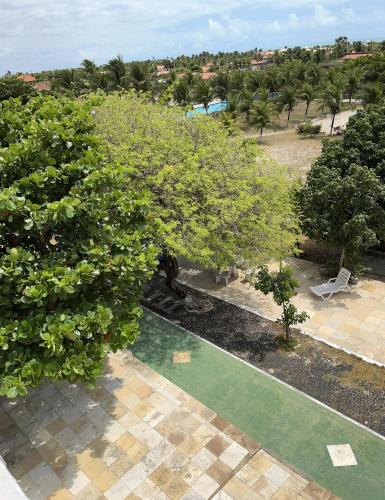 an overhead view of a garden with trees and a pool at Apartamento Aluguel Morro Branco. in Beberibe