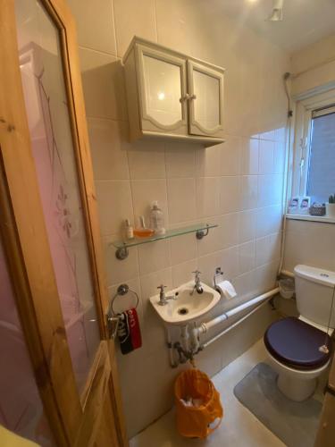 a bathroom with a toilet and a sink at 9 Russell court, king close in London