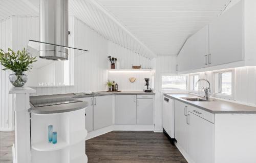 オテルプにあるStunning Home In Otterup With 3 Bedrooms And Wifiの白いキッチン(白いキャビネット、シンク付)