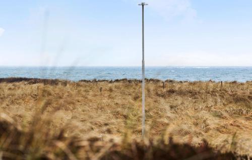 a pole in the middle of a field with the ocean at 3 Bedroom Pet Friendly Home In Frøstrup in Frøstrup