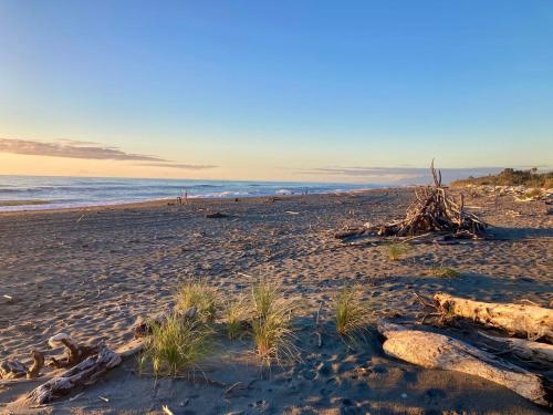 a sandy beach with some plants in the sand at Kahu's Nest in Hokitika