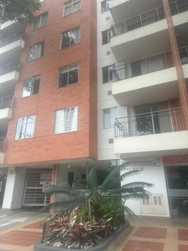 a tall building with a palm tree in front of it at Aparta estudió independiente cerca a la concha acústica (central) in Ibagué