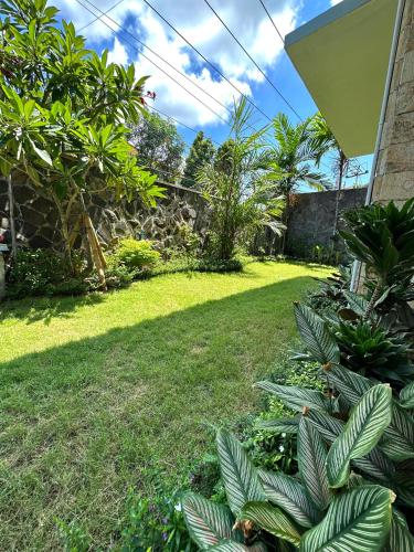 a yard with grass and plants and a building at Turtledove Guesthouse in Kuta