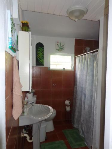 uma casa de banho com um WC e um lavatório em Bungalow Ocean View wifi em Patillas