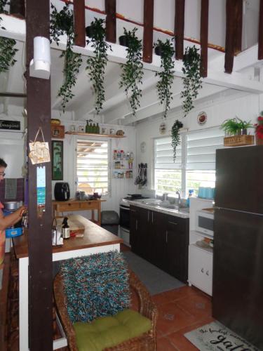 a kitchen with plants hanging from the ceiling at Bungalow Ocean View wifi in Patillas