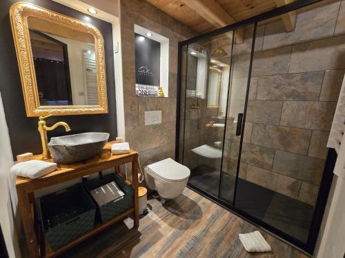 a bathroom with a shower and a sink and a toilet at Suite Love et Evasion in Saint-André-le-Gaz