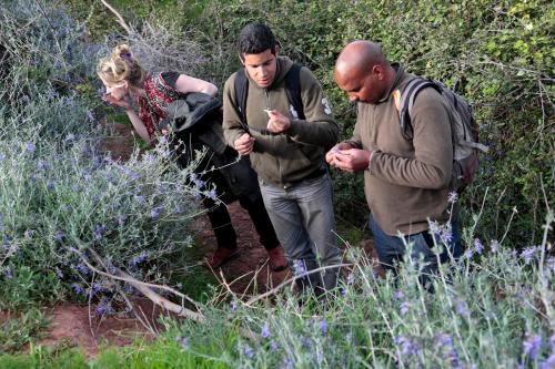 a group of three people looking at their cell phones at Terres d'Amanar in Tahannout