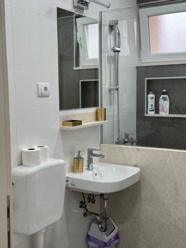 トレビニェにあるApartman PARKのトイレと洗面台のある白いバスルーム