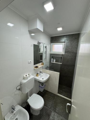 a bathroom with a toilet and a sink and a shower at Apartman PARK in Trebinje