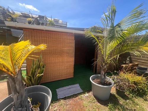 a house with two palm trees in front of it at Chez Permal in Saint-Pierre