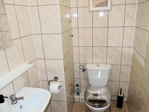 a bathroom with a toilet and a sink at Large holiday apartment with a garden in Stepnica in Stepnica