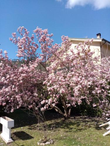 Κήπος έξω από το L'Erbetta fra le Cinque Terre e la Val di Vara