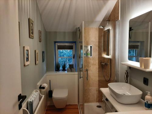 a bathroom with a sink and a toilet and a shower at nord-ostseeglück in Ladelund