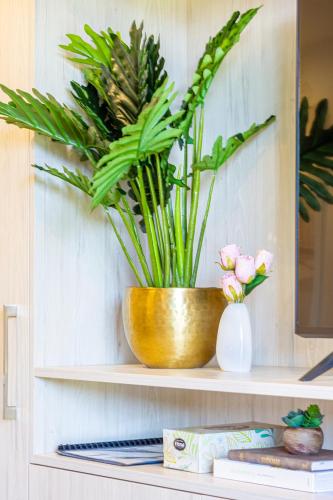 a gold bowl on a shelf with a plant at Central Oasis: Charming Studio with Backyard in Christchurch
