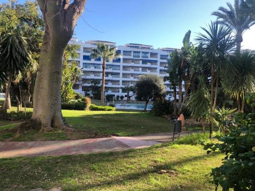 banus elegant modern studio
