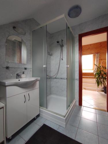 Koupelna v ubytování Dorina Apartman