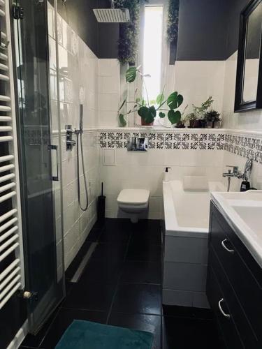 a bathroom with a shower and a toilet and a sink at Apartament na piasku in Gliwice