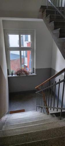 a staircase with a window in a building with a plant at Apartament na piasku in Gliwice