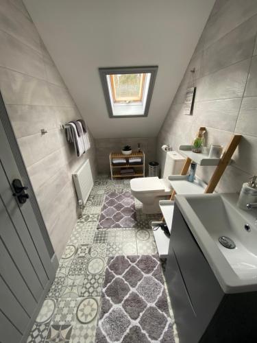 a bathroom with a sink and a toilet at Salmon Weir Lodge in Cong