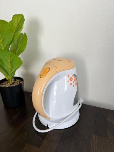 a toaster sitting on a table next to a plant at Muchovka Apartment in Prague