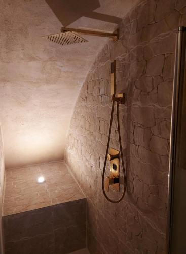 ein Bad mit einer Dusche und einer Steinmauer in der Unterkunft L'Atelier Des Roses in Lunéville