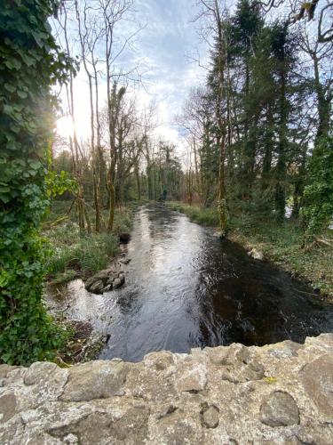 a stream of water in a field with trees at Salmon Weir Lodge in Cong