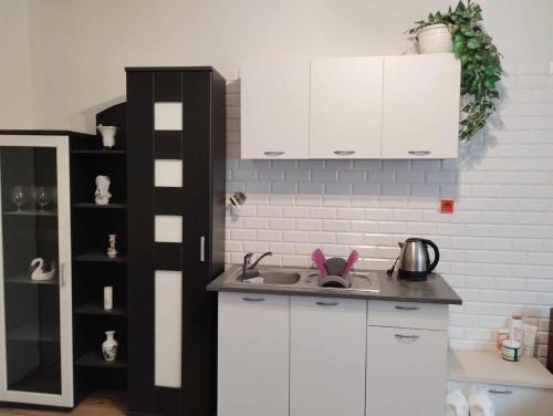 Kuchyň nebo kuchyňský kout v ubytování Apartmán Dolina