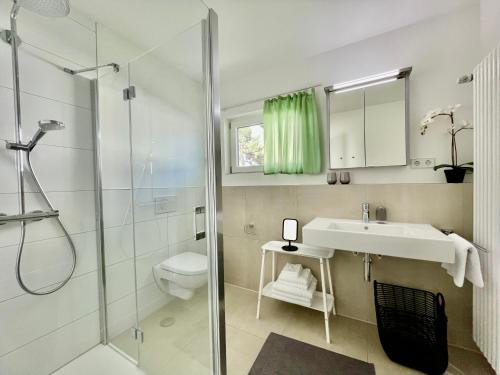 a bathroom with a shower and a sink and a toilet at 2-Zi. Apartment 42 qm, an der Friedrichsau/Messe in Neu Ulm