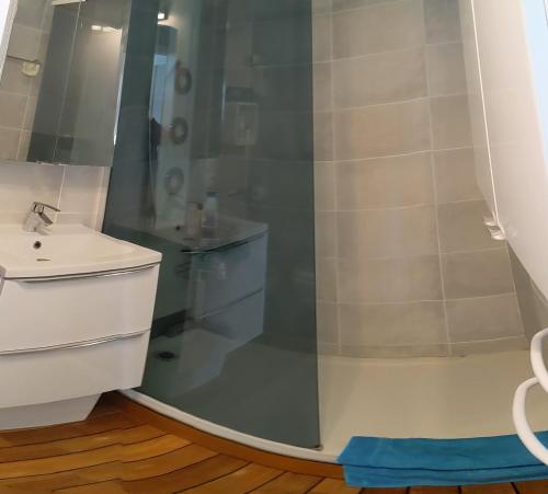 une salle de bain avec douche et lavabo dans l'établissement Elégant Appartement, au Barcarès