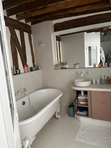a bathroom with a tub and a sink and a mirror at Deux chambres en plein cœur de Montmartre, Paris in Paris