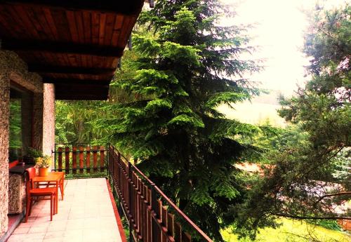 a porch with a wooden railing and a tree at Penzion Bor in Náchod