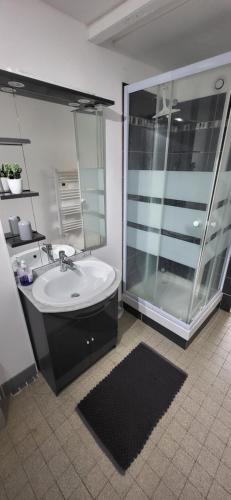 W łazience znajduje się umywalka i prysznic. w obiekcie Gîte Savigny en Sancerre w mieście Savigny-en-Sancerre